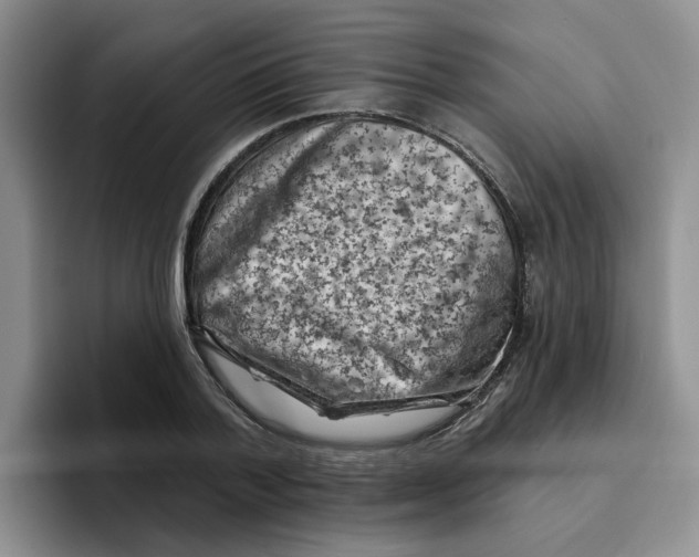 X0000096410788200802211224