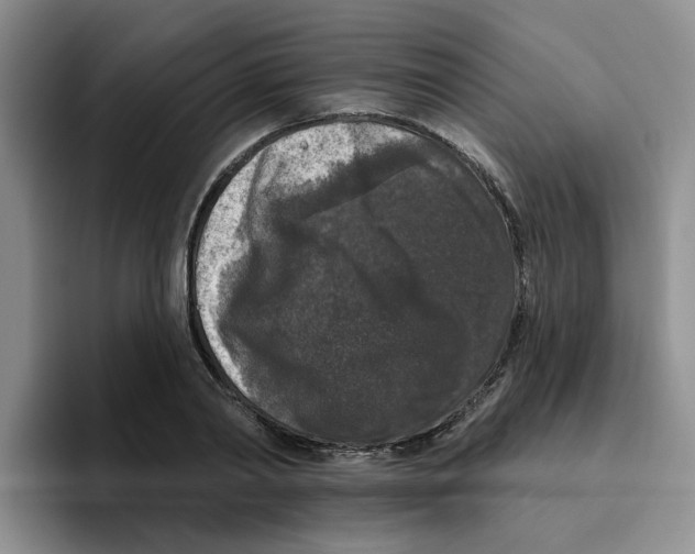 X0000096410790200802211224
