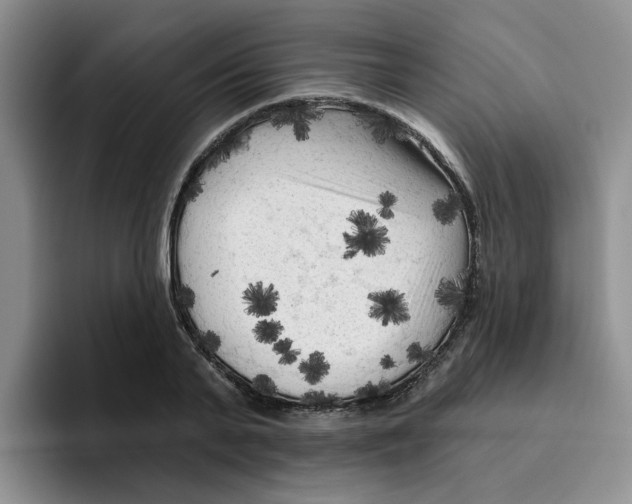 X0000096410791200802211224