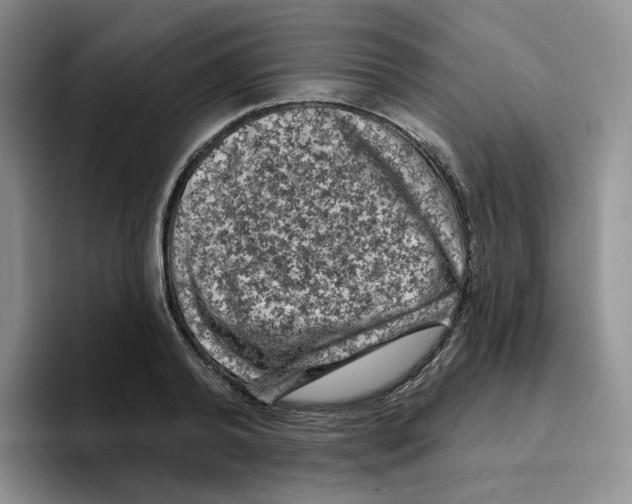 X0000096410792200802211224