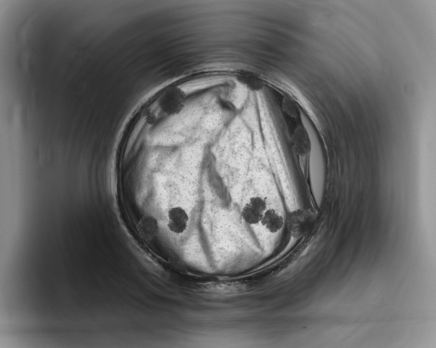 X0000096410795200802211224