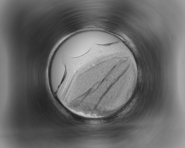 X0000096410796200802211224