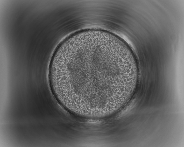 X0000096410799200802211224
