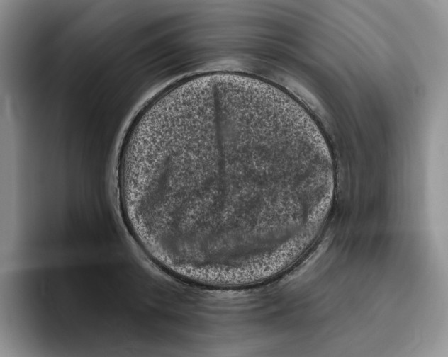 X0000096410800200802211224