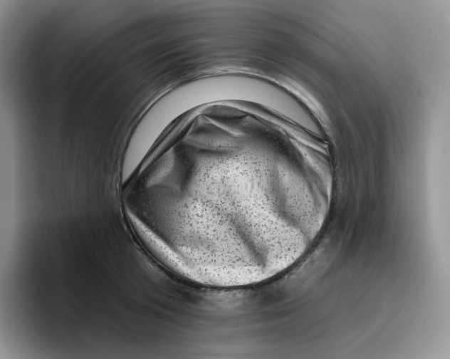 X0000096410801200802211224