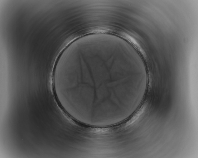 X0000096410802200802211224