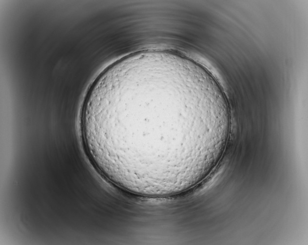 X0000096410803200802211224