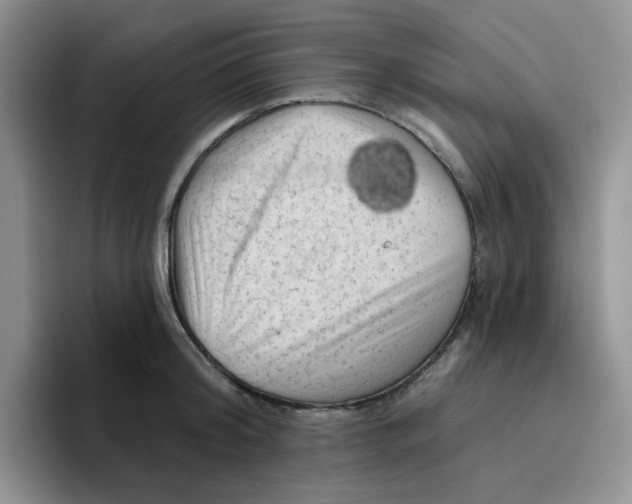 X0000096410804200802211224
