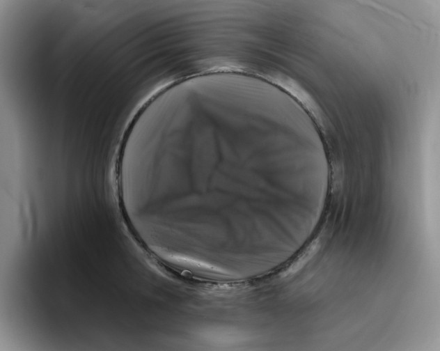 X0000096410806200802211224