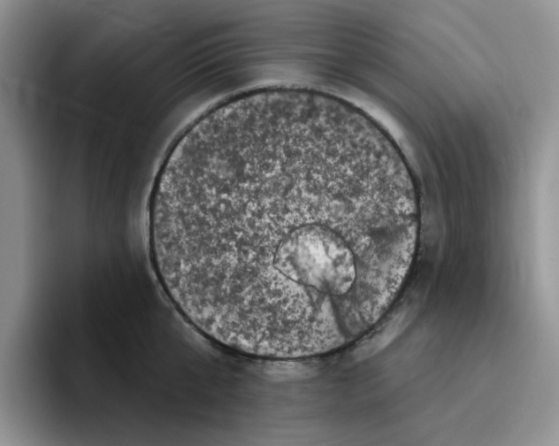 X0000096410807200802211224