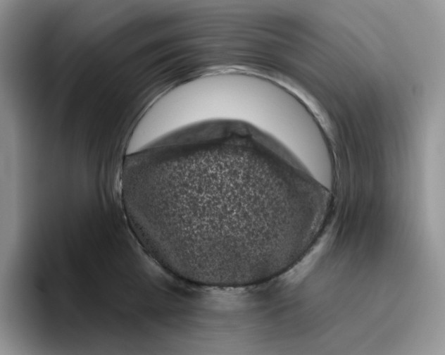 X0000096410809200802211224