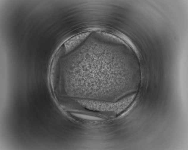 X0000096410810200802211224