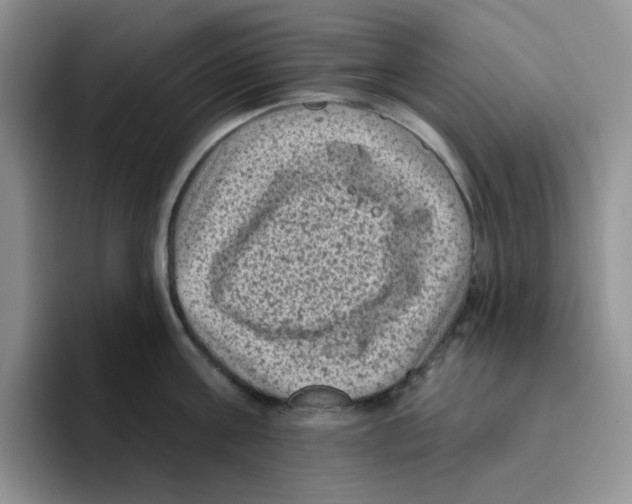 X0000096410811200802211224
