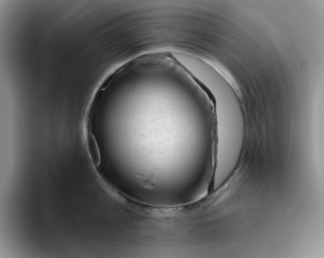 X0000096410813200802211224