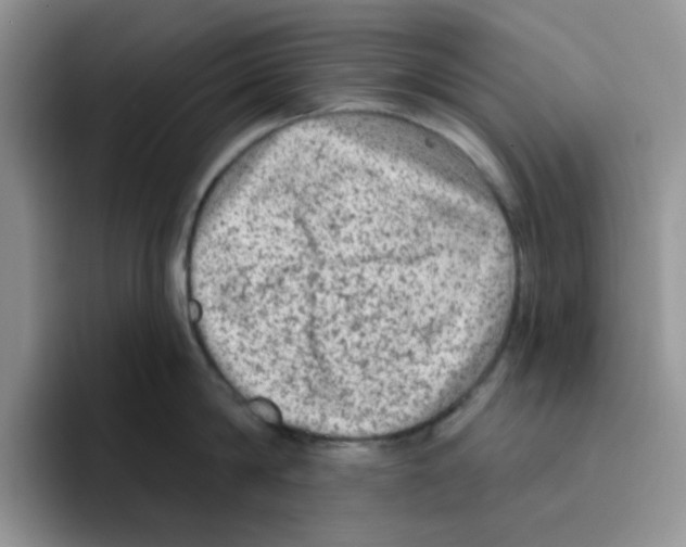 X0000096410814200802211224