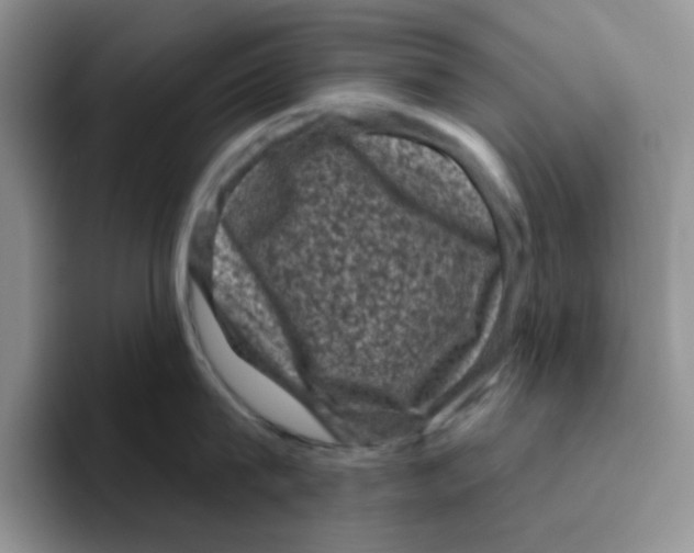 X0000096410815200802211224