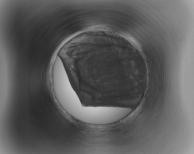 X0000096410816200802211224