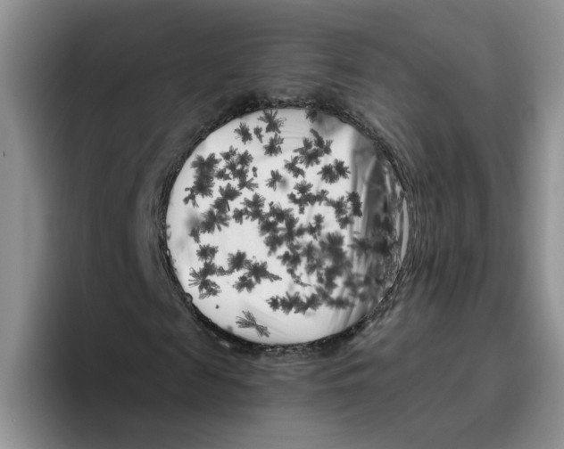 X0000096410817200802211223