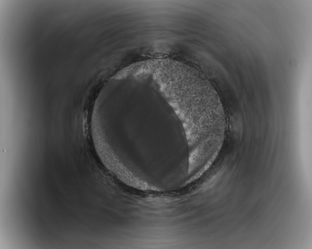 X0000096410818200802211223
