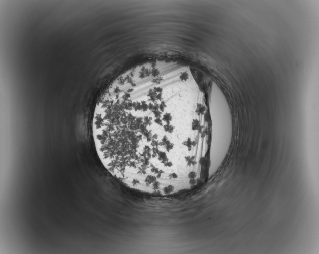 X0000096410819200802211223