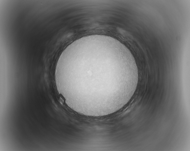 X0000096410820200802211223
