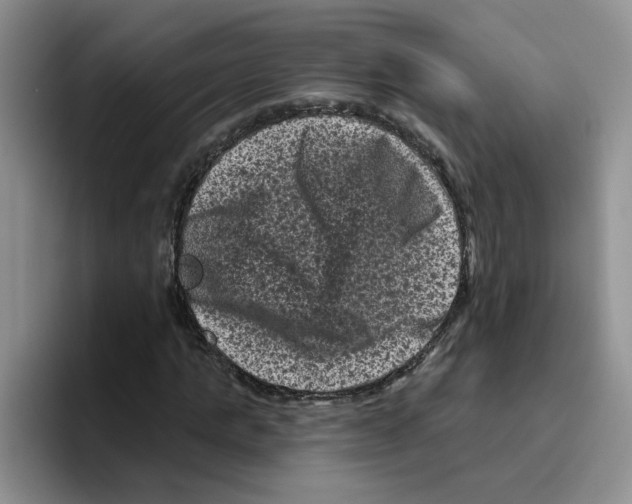 X0000096410821200802211223