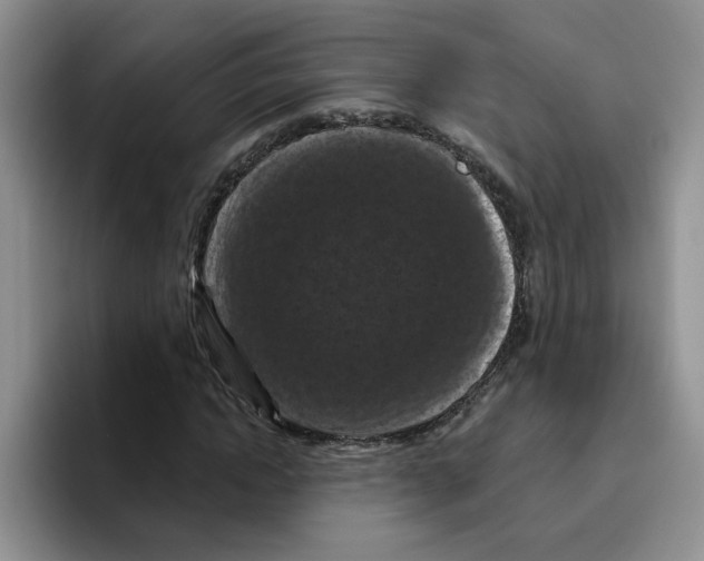 X0000096410822200802211223