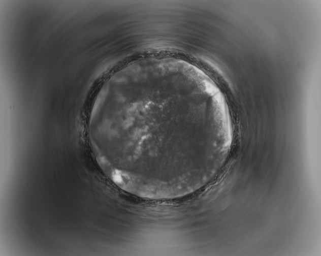 X0000096410823200802211223