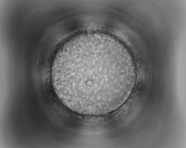 X0000096410824200802211223