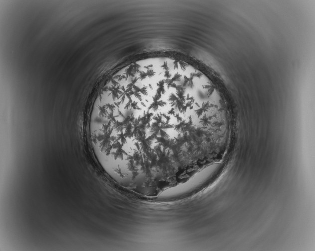 X0000096410825200802211223