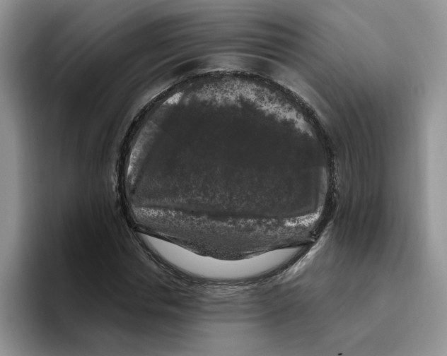 X0000096410826200802211223