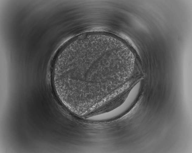 X0000096410827200802211223