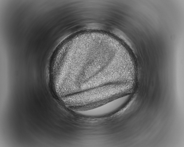 X0000096410829200802211223