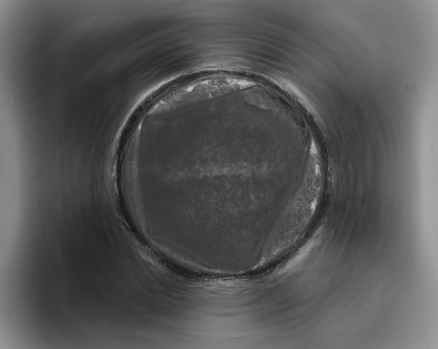 X0000096410830200802211223
