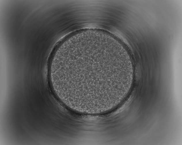 X0000096410831200802211223
