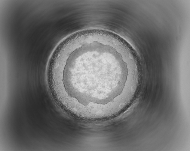 X0000096410832200802211223