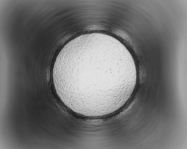 X0000096410833200802211223