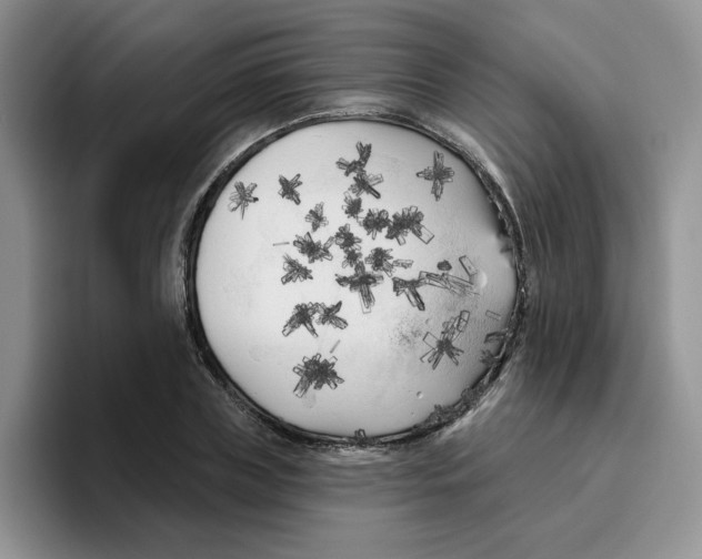 X0000096410835200802211223