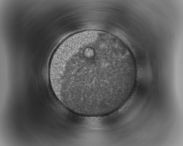 X0000096410836200802211223