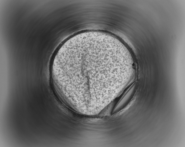 X0000096410837200802211223