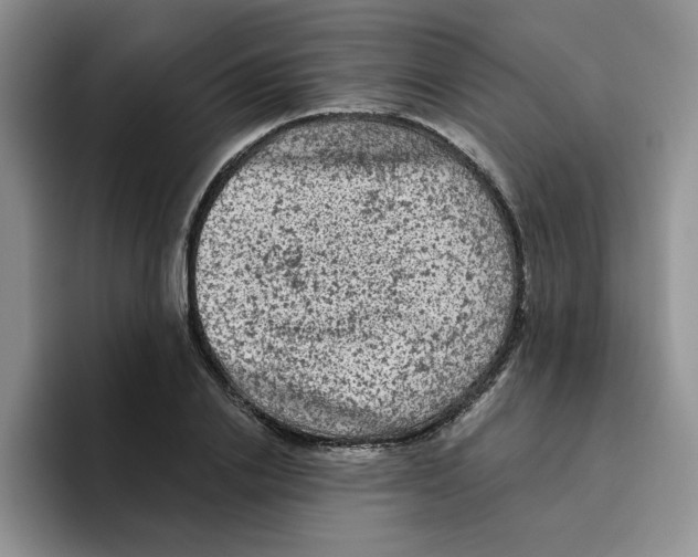 X0000096410838200802211223