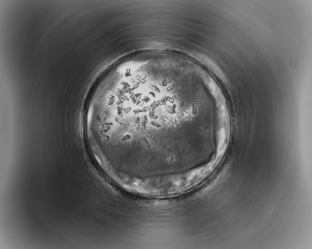 X0000096410839200802211223