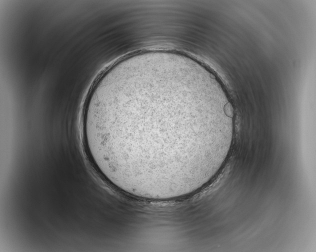 X0000096410840200802211223
