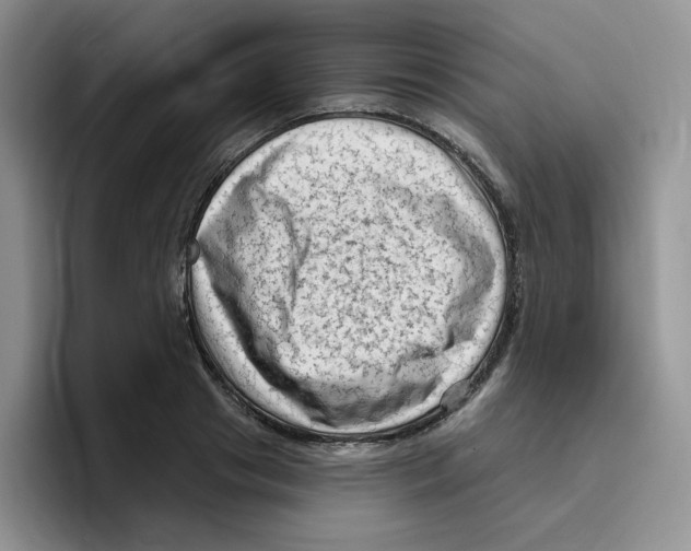 X0000096410841200802211223