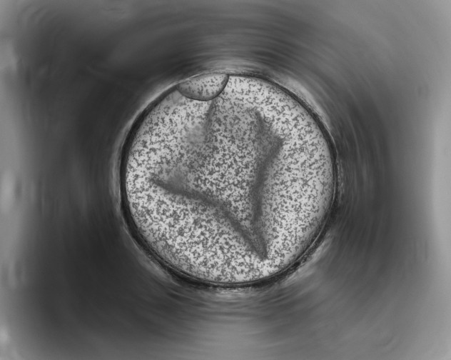 X0000096410843200802211223
