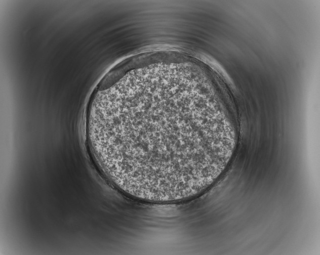 X0000096410844200802211223