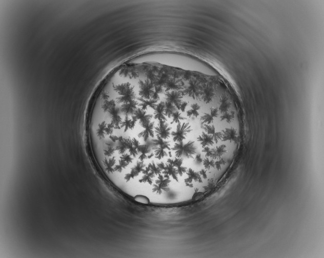 X0000096410845200802211223