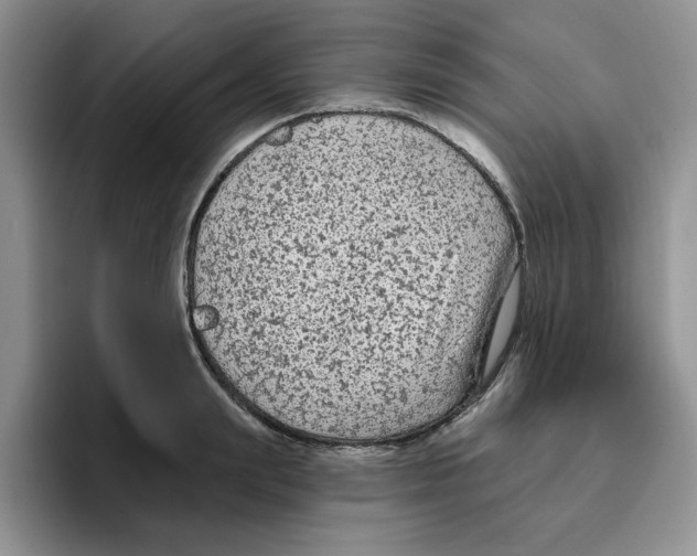 X0000096410847200802211223