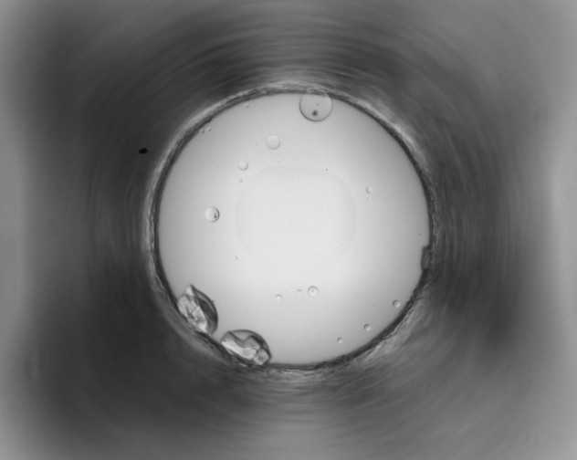 X0000096410848200802211223
