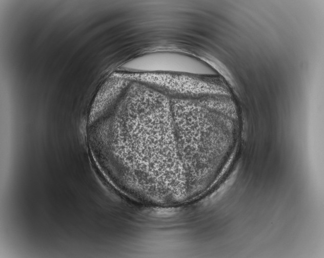X0000096410849200802211224
